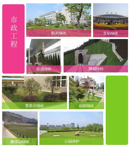 綠化苗木 百通生態環境 購買綠化苗木